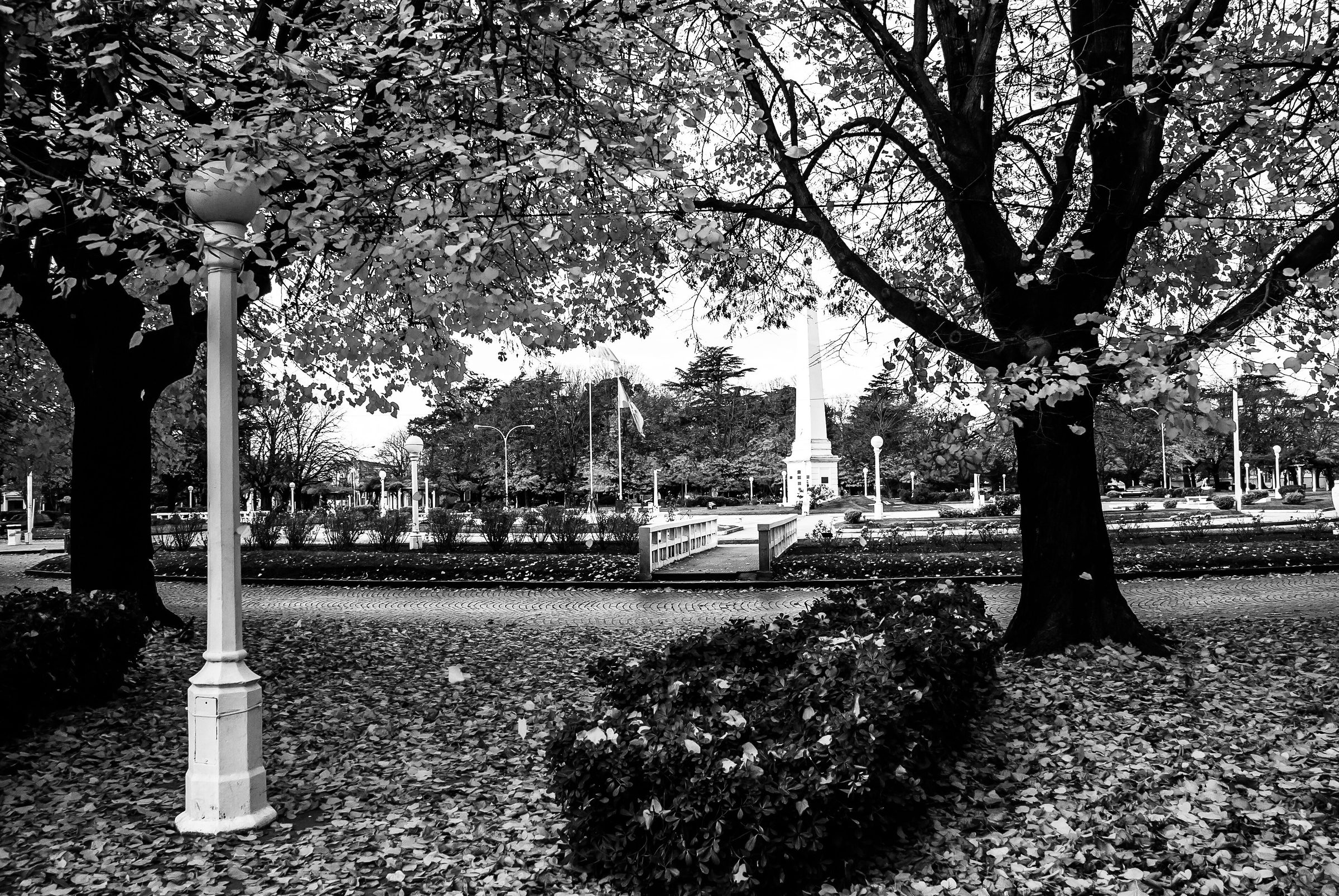 Autumn in Balcarce's main square: fallen leaves carpet the ground under two large trees, a globe lamp-post stands in the foreground beside a clipped hedge, and beyond them are a small footbridge, an obelisk and a flag on its pole.