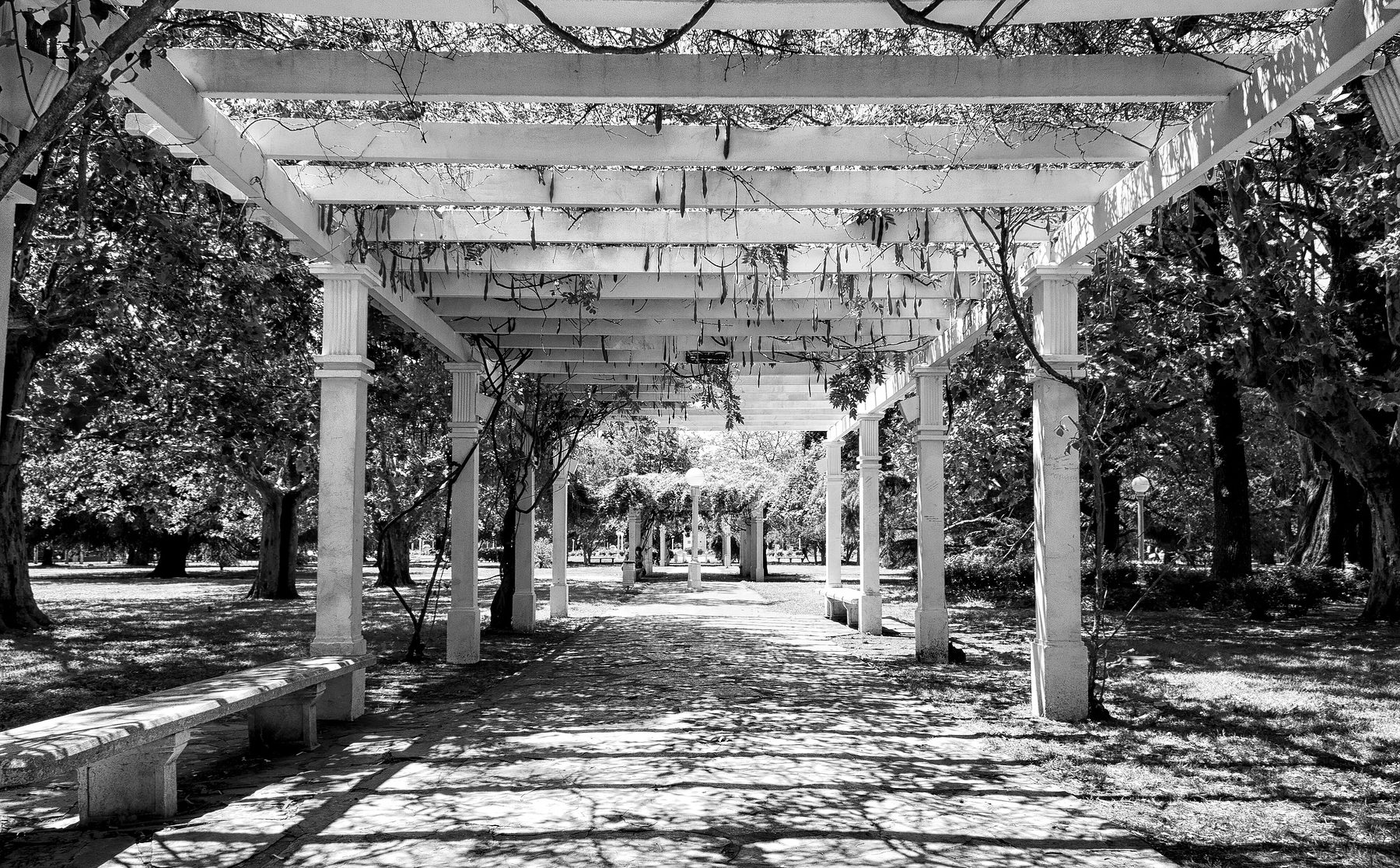 A long pergola walk of square white columns and beams under a canopy of leaves, dappled shade on a stone path, benches on either side and globe lamps at the far end.
