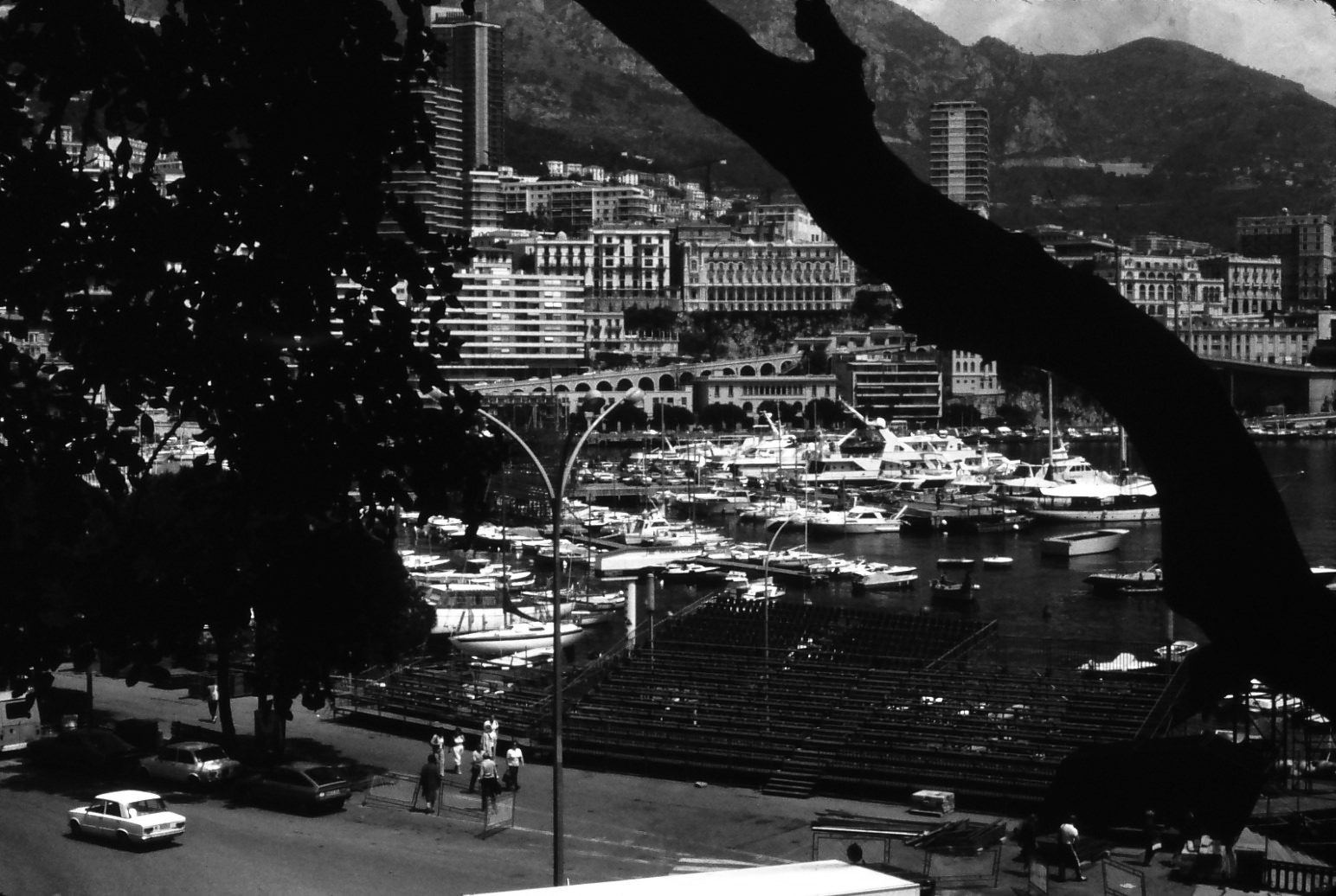 Through the dark silhouette of a tree, a view down on a harbour quay: tiered grandstands stand empty beside moored yachts, a few cars are parked and a handful of people walk on the quay, with apartment blocks and mountains behind.