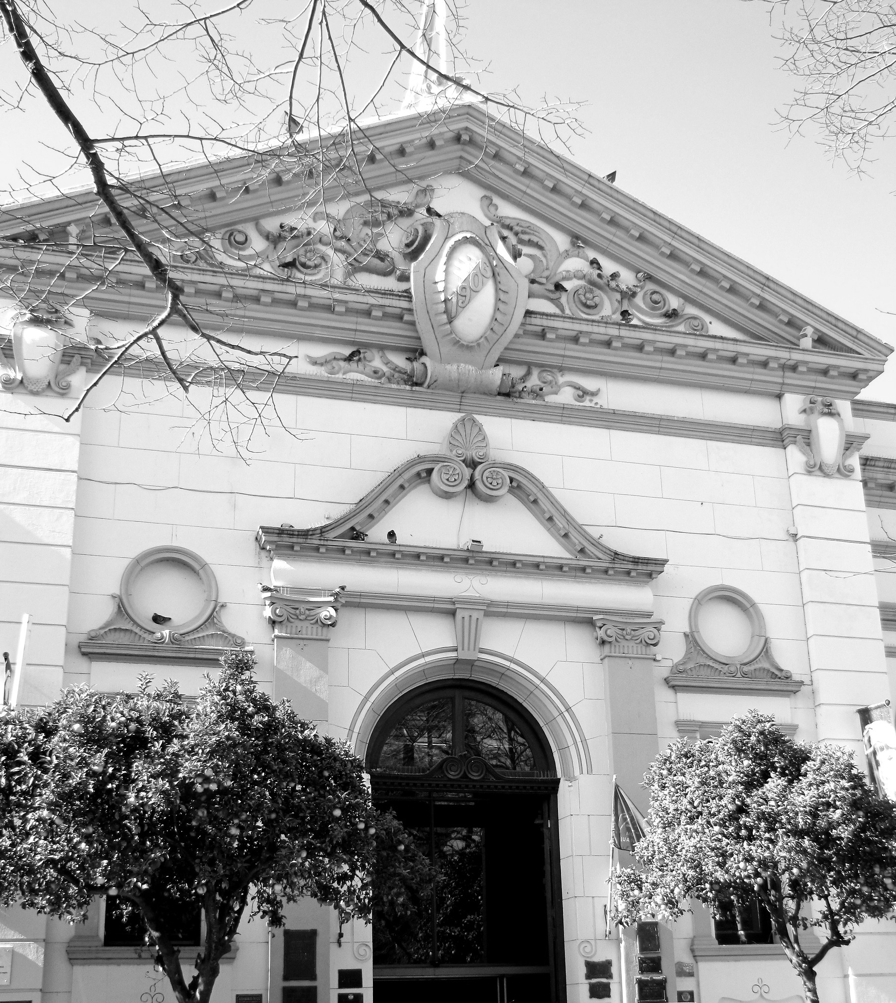 The ornate white façade of a former town hall: a carved pediment with a cartouche, round windows, an arched doorway with plaques beside it, and a citrus tree heavy with fruit on each side.