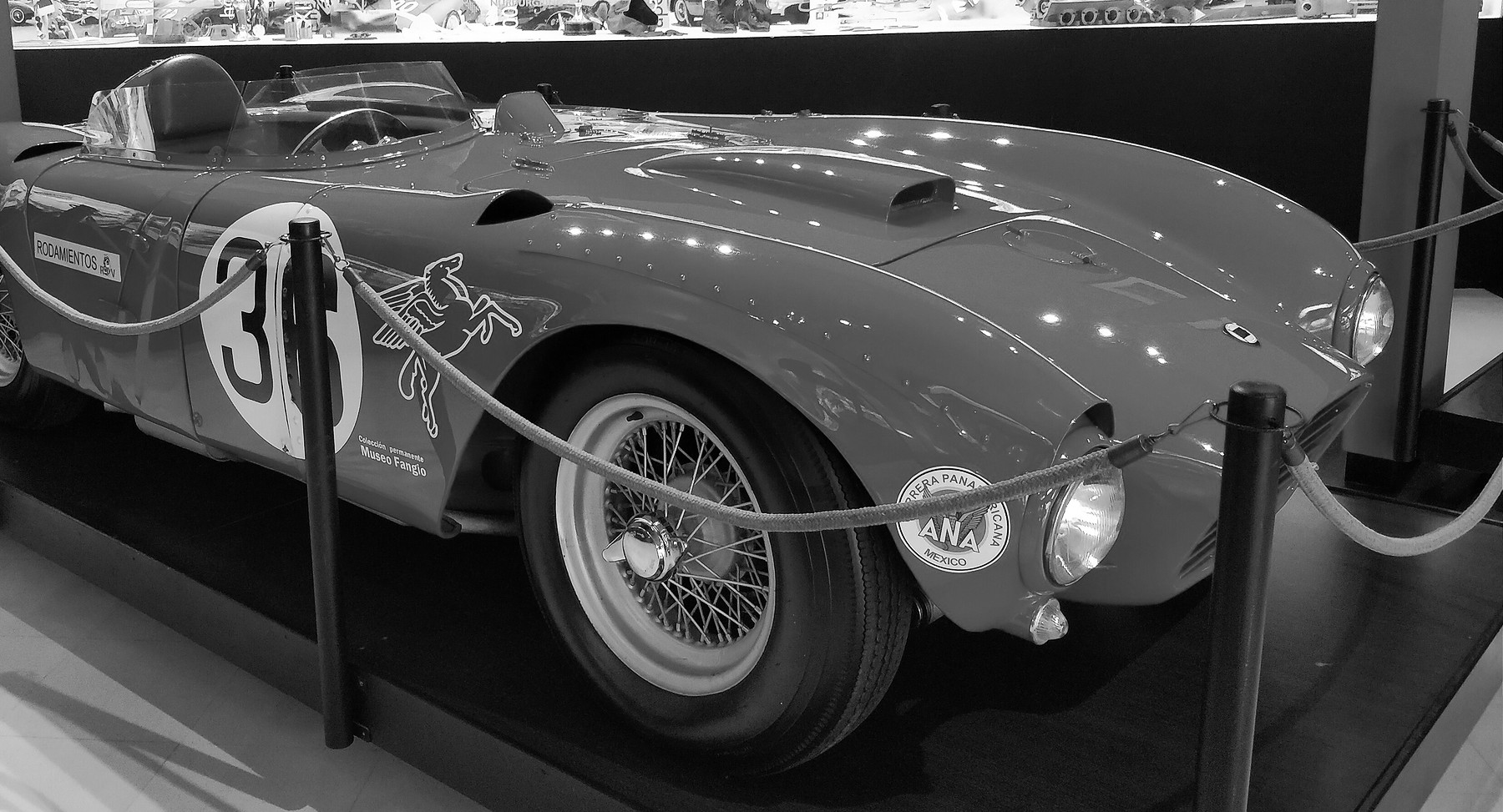 A low open sports-racing car behind rope barriers in a museum: a 36 in a roundel on its flank, partly hidden by a post, a winged-horse emblem, wire wheels and a round badge on its nose; a lit cabinet of trophies behind.
