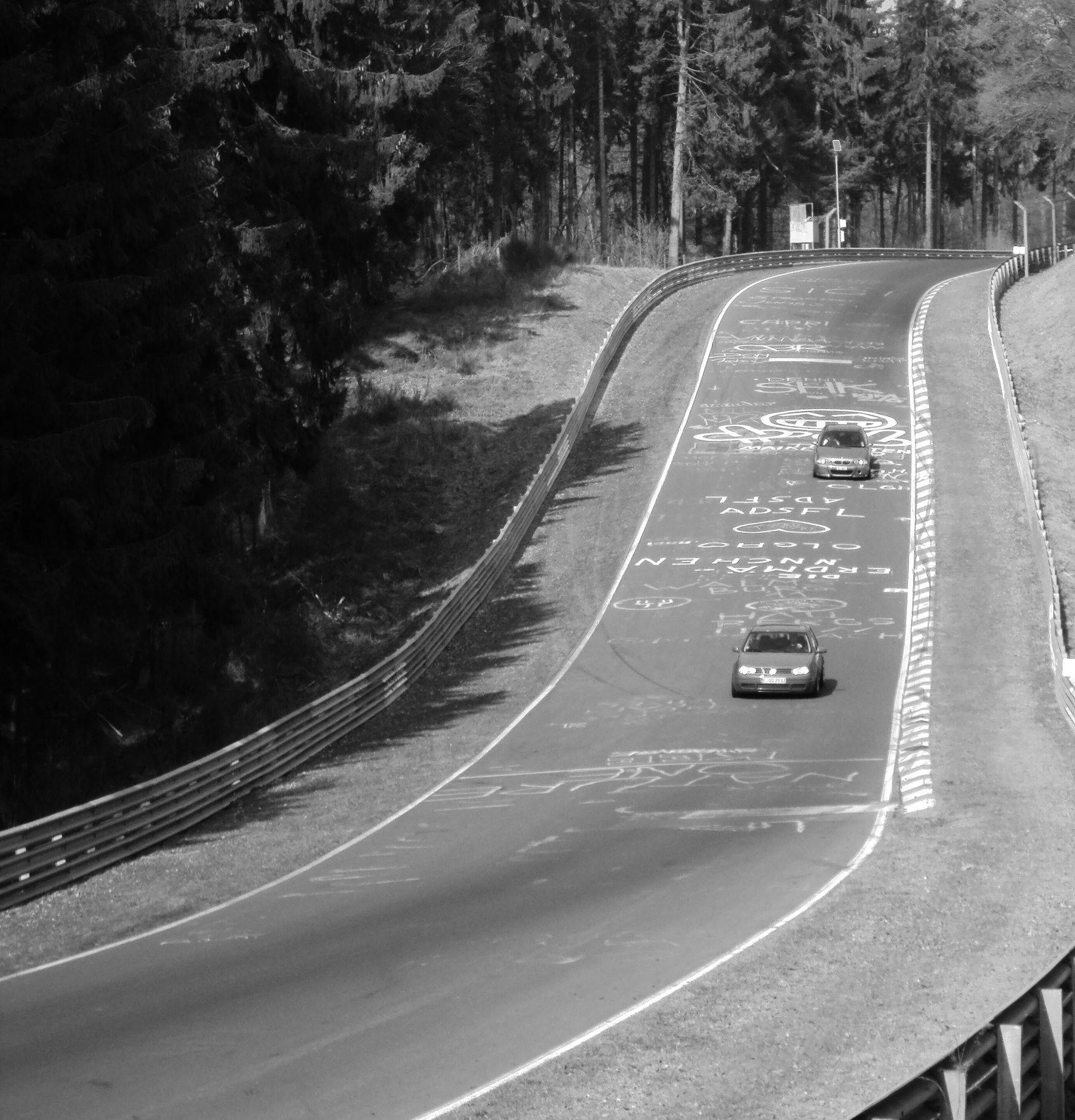 A narrow circuit dips and rises between steel barriers through a forest of tall conifers, its surface painted with names; two small modern cars on the track.